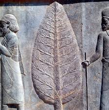 سرو در فرهنگ ایران باستان