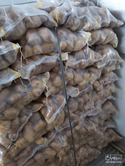 فروش سیب زمینی اسپریت