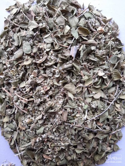 فروش برگ آویشن