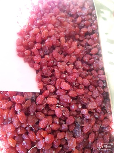 فروش زرشک اناری