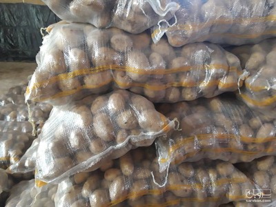 فروش سیب زمینی