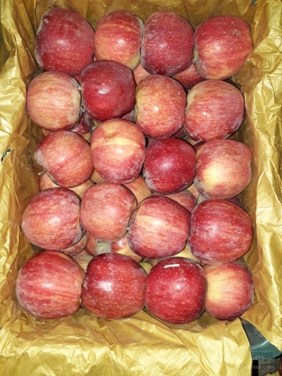 فروش سیب 2