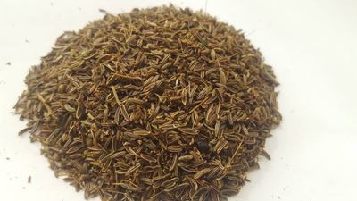 فروش زیره مناسب عرق گیری