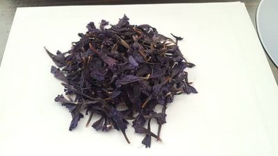 فروش گاو زبان