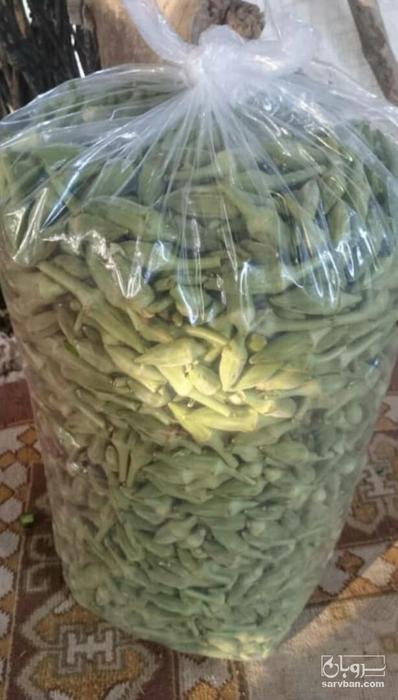 فروش بامیه