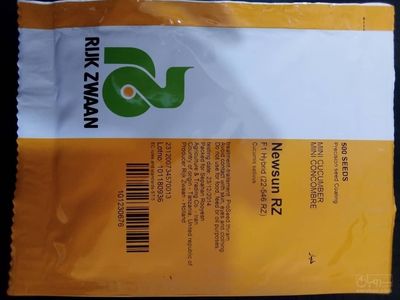 فروش بذر سبزیجات و صیفی‌ جات