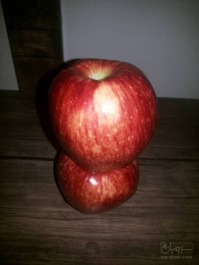 فروش سیب