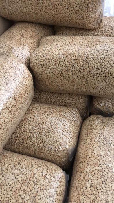 فروش بادام زمینی