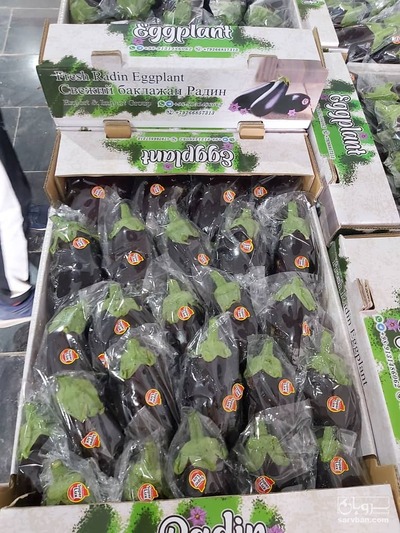 فروش بادمجان