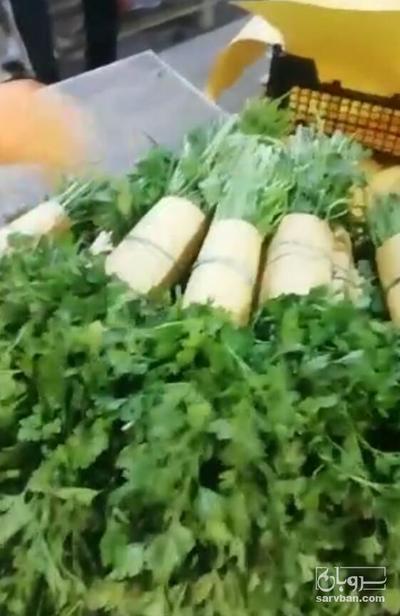 فروش جعفری تازه