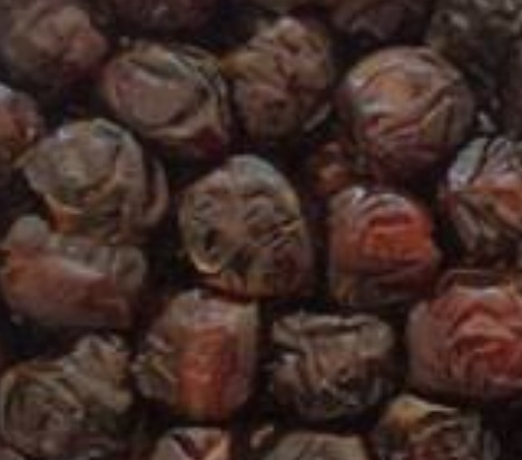 فروش خرما بریمی