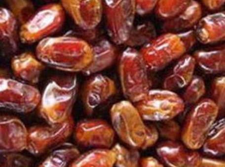 فروش خرما کبکاب