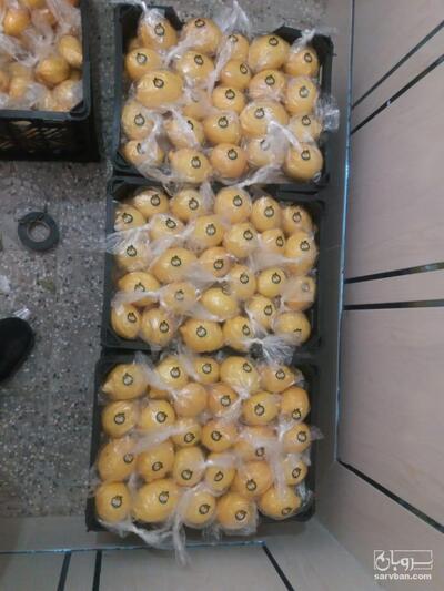 فروش لیموترش