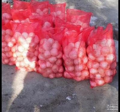 فروش پیاز سفید
