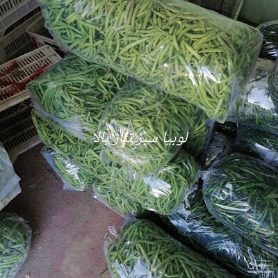 فروش لوبیا سبز