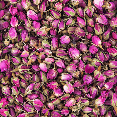خرید گل محمدی