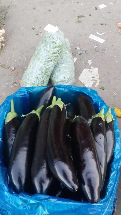فروش بادمجان قلمی