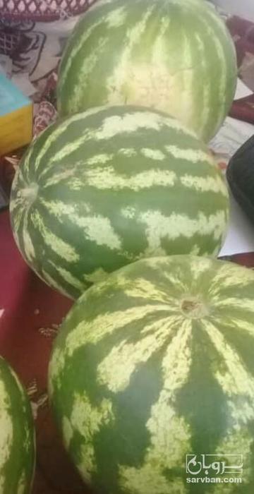 فروش هندوانه