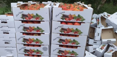 فروش گوجه فرنگی درجه یک صادراتی