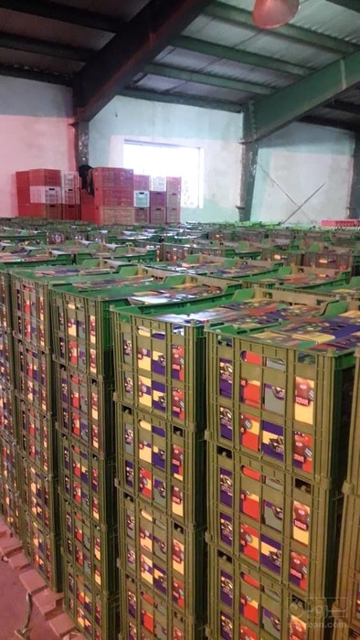 فروش کیوی 3