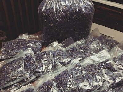  فروش گاو زبان