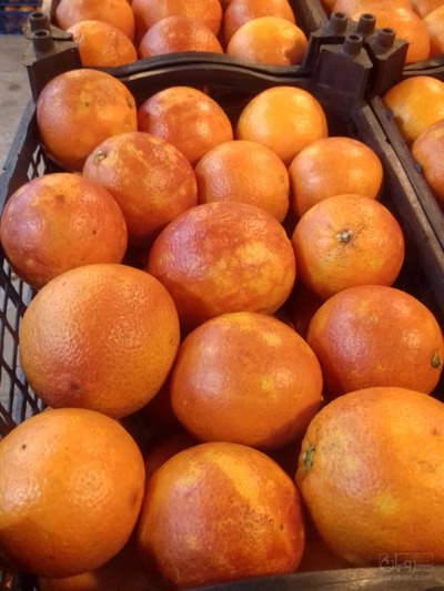 فروش پرتقال تو سرخ