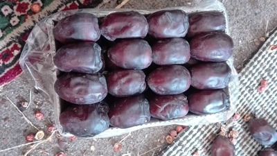 فروش خرما مضافتی درجه یک
