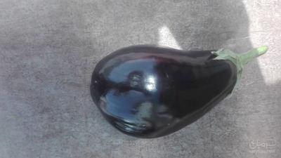 فروش بادمجان لامپی گلخانه ای