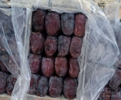 فروش خرمای کلوته