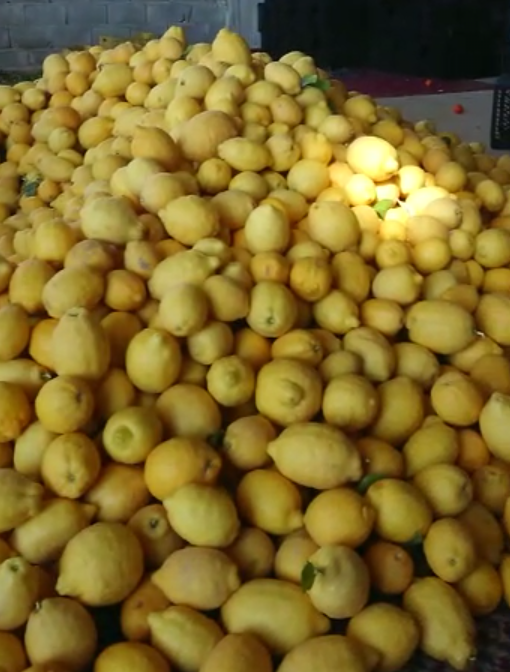 فروش لیموترش سنگی