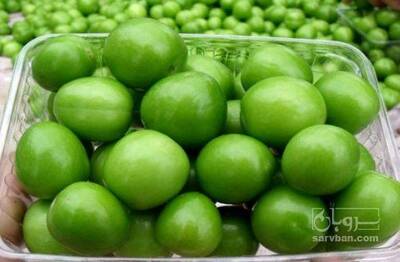 فروش گوجه سبز گلخانه ایی