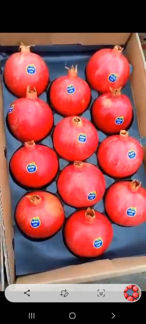 فروش انار دون سیاه