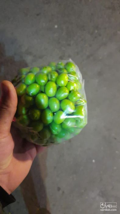 فروش گوجه سبز