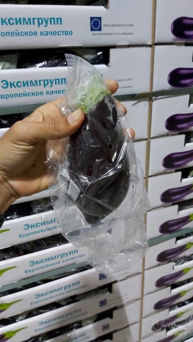 فروش بادمجان