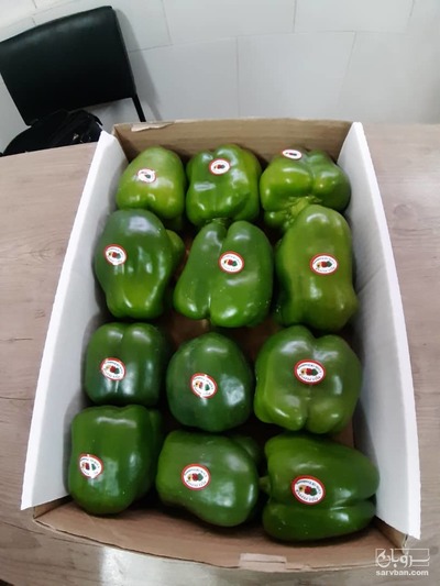 فروش فلفل دلمه ای گلخانه ایی