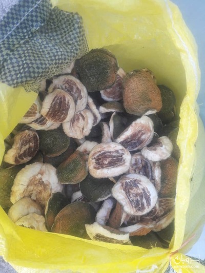 فروش اترج(بالنگ)