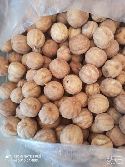 فروش لیموعمانی