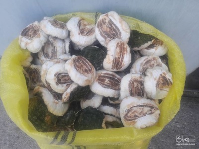 فروش اترج(بالنگ) خشک