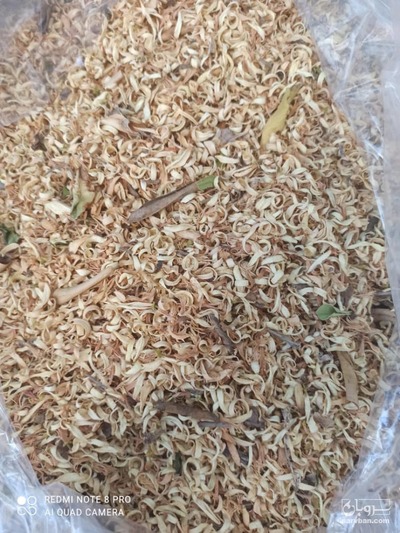 فروش بهارنارنج