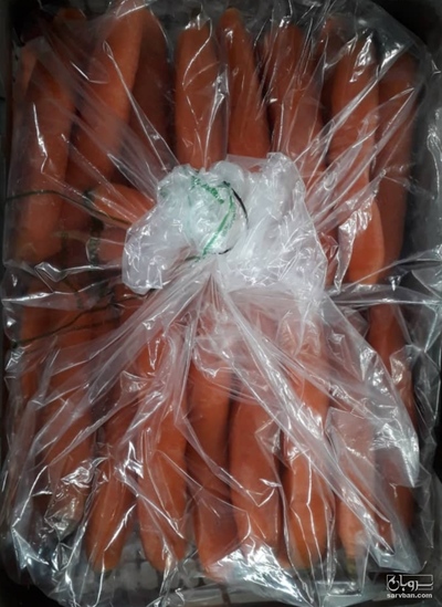 فروش هویج شسته