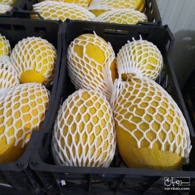 فروش خربزه گرمساری