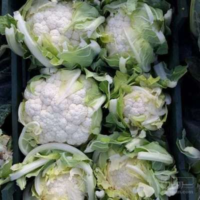 فروش گل کلم