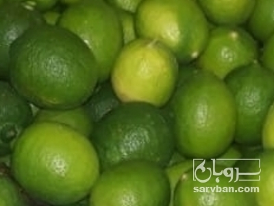  فروش لیموترش