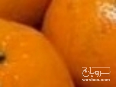 خرید پرتقال