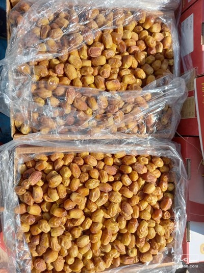 فروش خرما زاهدی 2