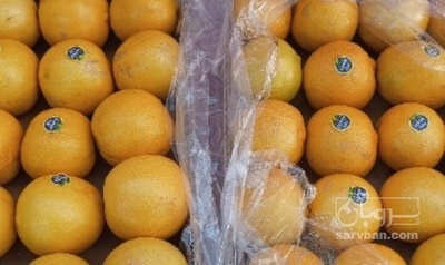 فروش لیمو شیرین