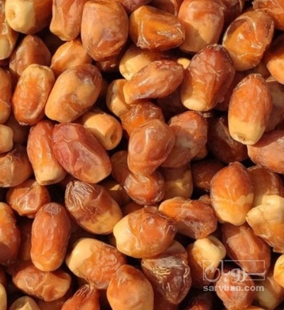 فروش خرما زاهدی
