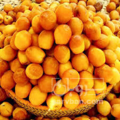 فروش خرما هلیله