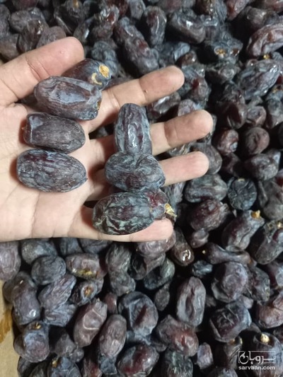 فروش خرما کلوته