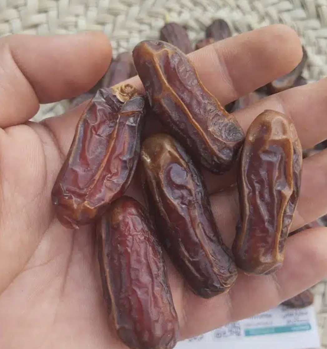 فروش خرما شاهانی